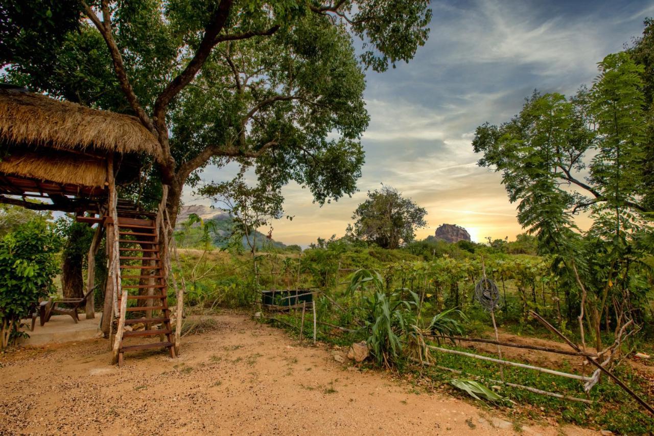 Sigiriya King'S Resort 외부 사진