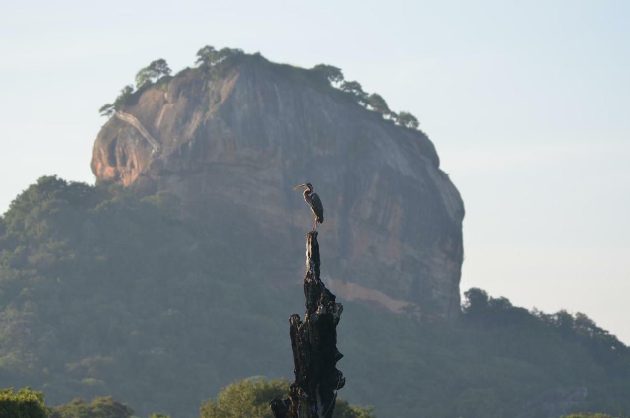 Sigiriya King'S Resort 외부 사진