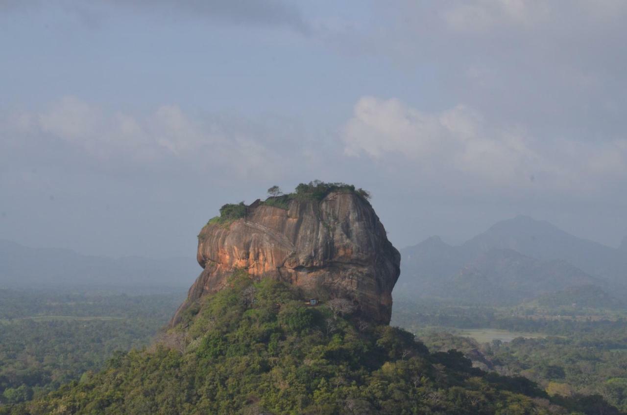 Sigiriya King'S Resort 외부 사진