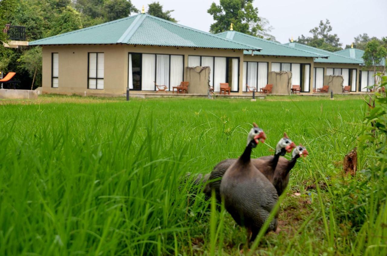 Sigiriya King'S Resort 외부 사진