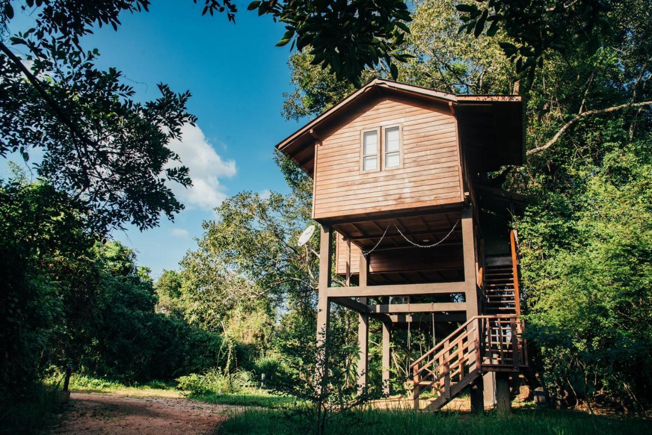 Sigiriya King'S Resort 외부 사진